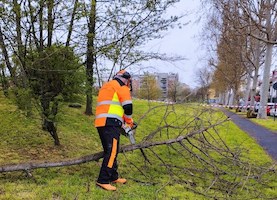protezione civile cormano pasqua