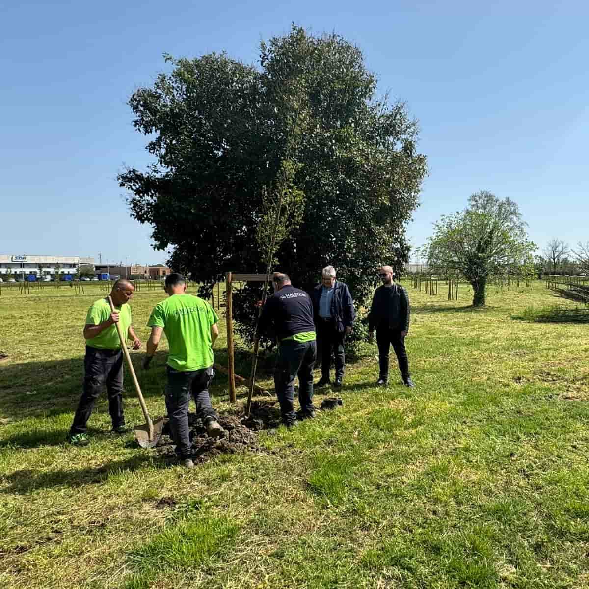 vimodrone piante-min