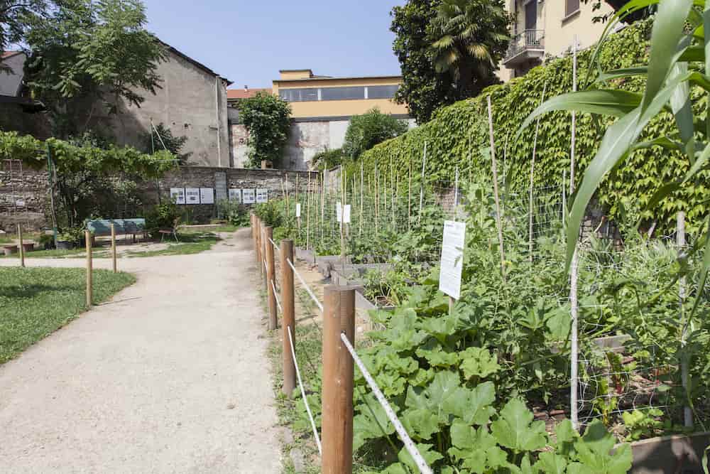 2024_Cascina-Cuccagna_02-low-min