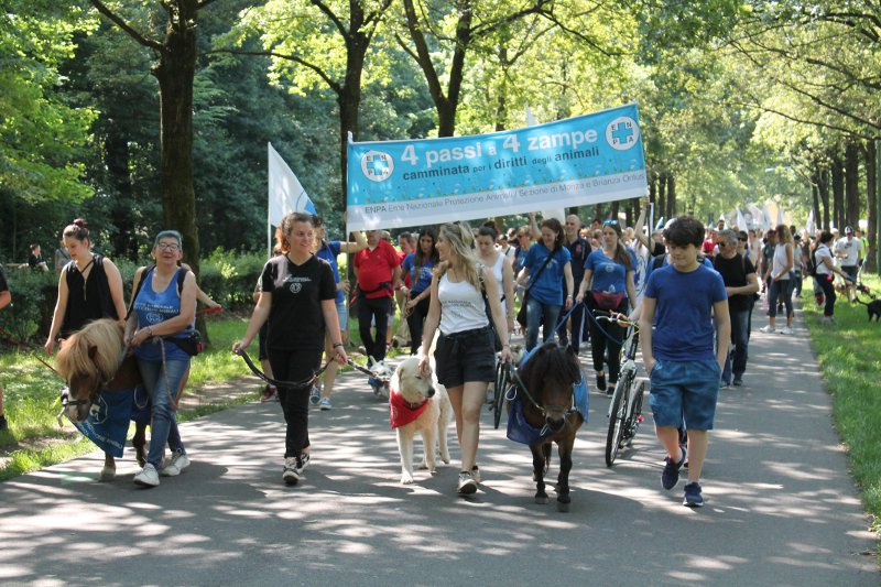 4passi a 4zampe-corteo con pony