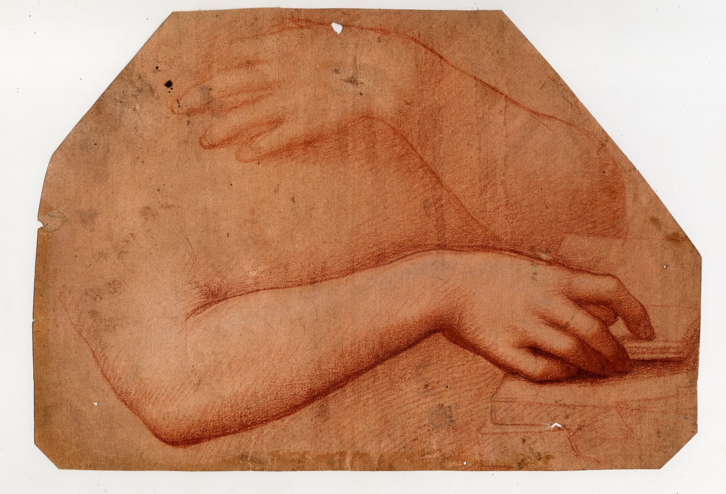 Giampietrino, Studio di braccia di Maddalena penitente. Gabinetto dei Disegni del Castello Sforzesco-min