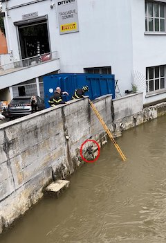 Hans-Lambro-cerchio rosso