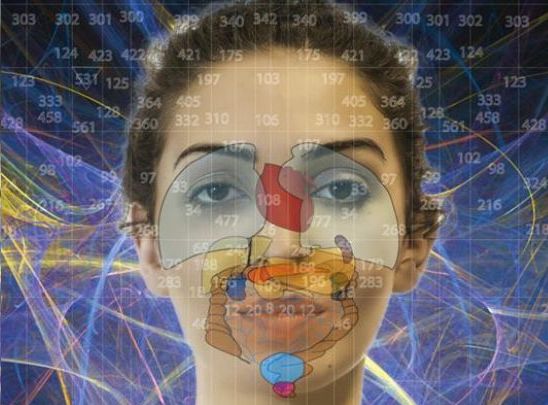 riflessologia facciale