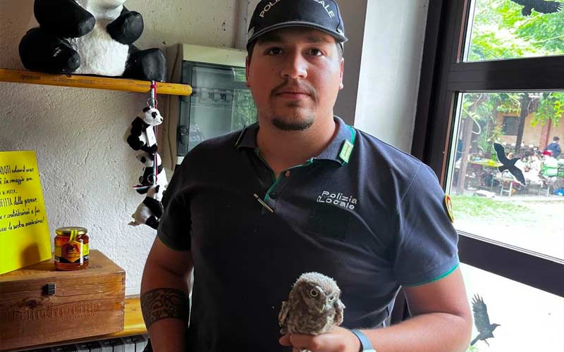 Civette Polizia locale Rho