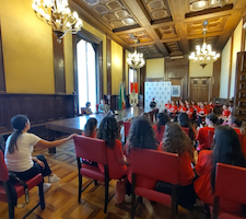 monza sport targhe lpe e astro roller