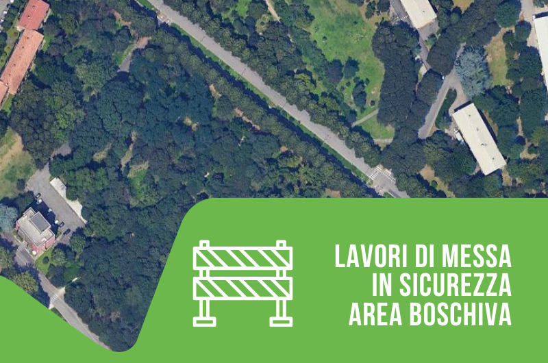 messa in sicurezza verde