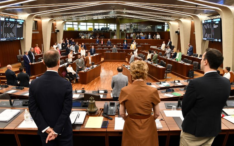 commemorazione cernusco regione