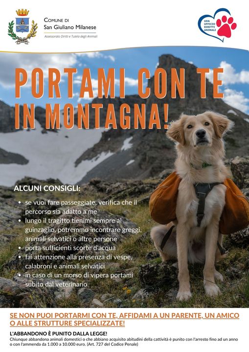 loca san giuliano cane