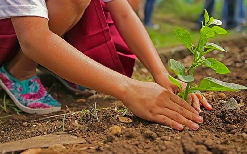 Piantare orto giardino
