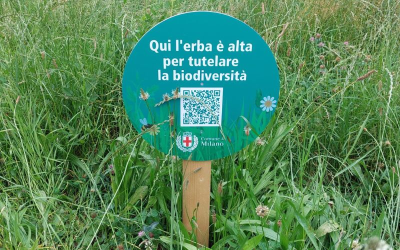 sfalci ridotti milano