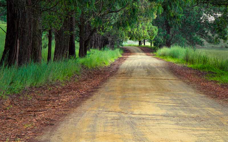Parco Agricolo Sud Milano