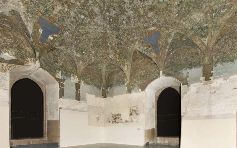 Sala delle Asse Castello Sforzesco Milano