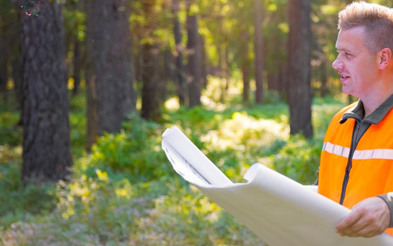 commissione paesaggio Cologno