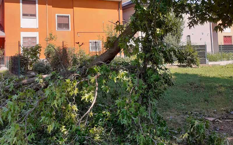 danni maltempo 7ago24 San Giuliano