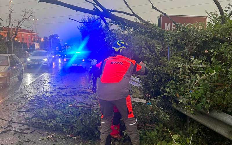 interventi 7ago24 Peschiera