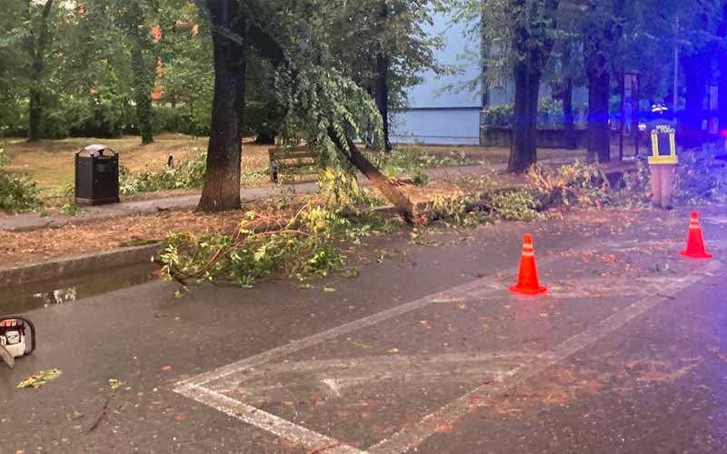 interventi 7ago24 San Donato