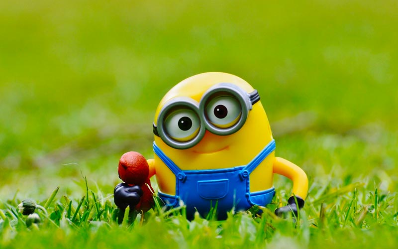 minion