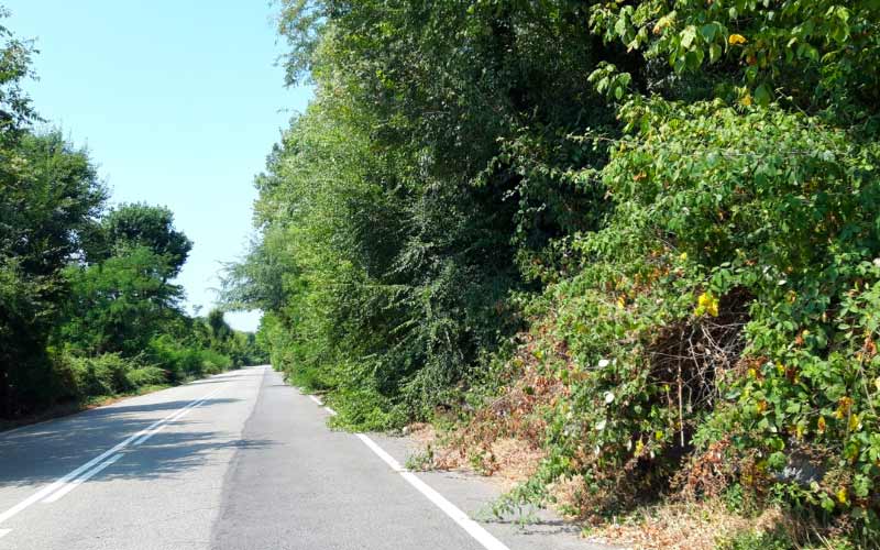 via fiume Lambro San Donato