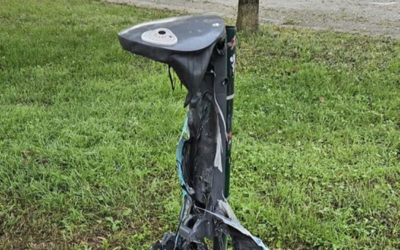 cestino paullo vandali