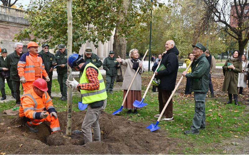 piantumazione milano