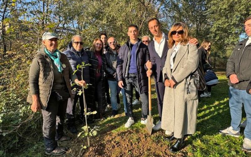 piantumazione rozzano