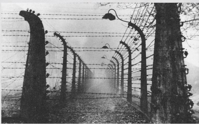 Shoah giorno della memoria