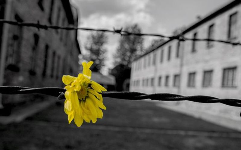 giorno della memoria giornata della memoria cologno