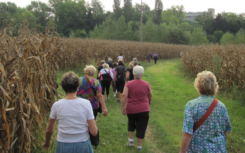 gruppi di cammino camminare