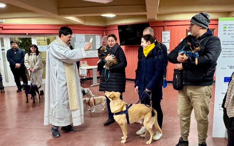 rozzano benedizione animali