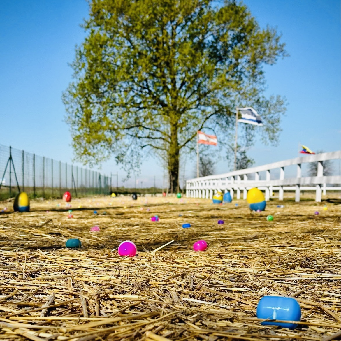 Villaggio delle Uova a San Martino Siccomario