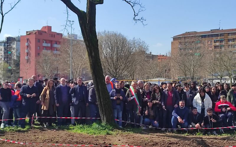 pioltello pianta matita