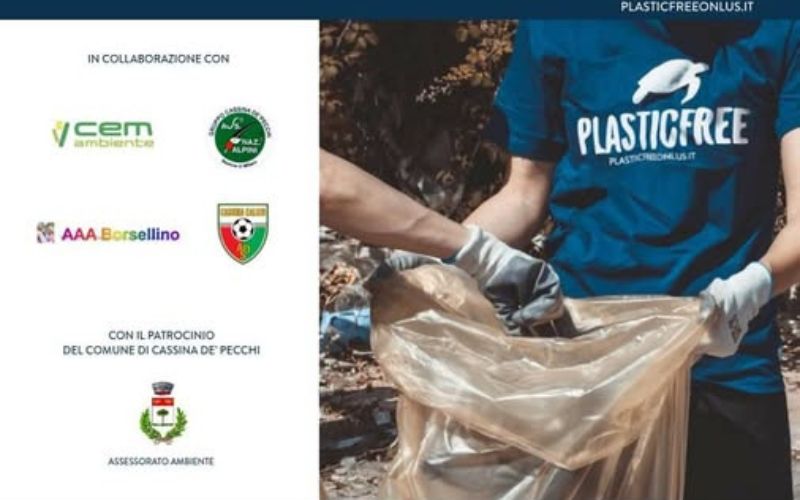 cassina plastic free