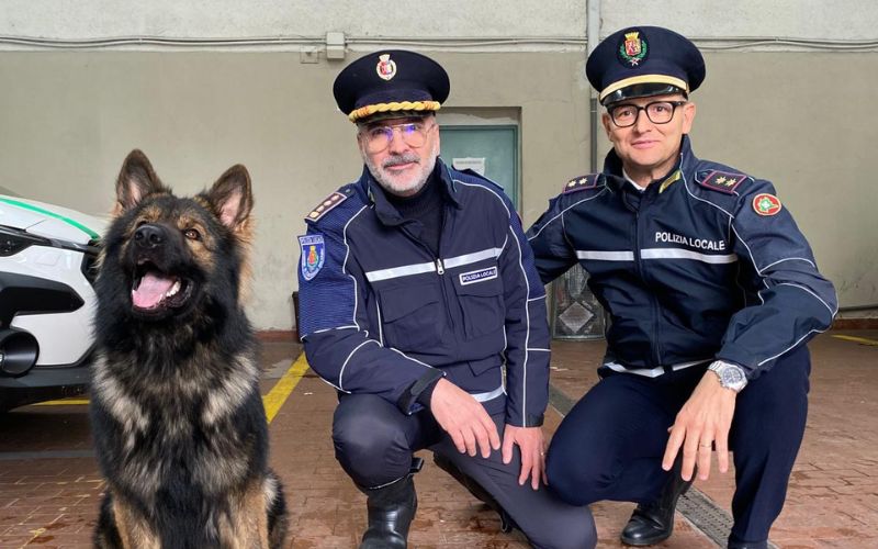 cinisello unità cinofila polizia locale