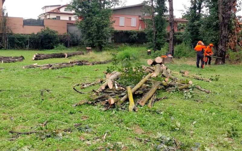 protezione civile pantigliate