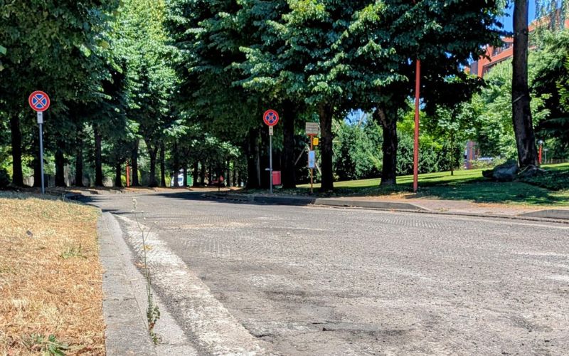 lavori asfaltatura segrate