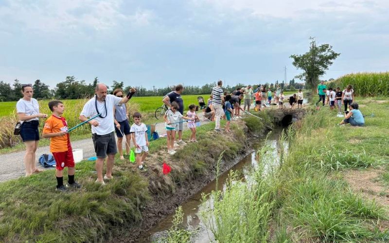 opera gara gambero killer