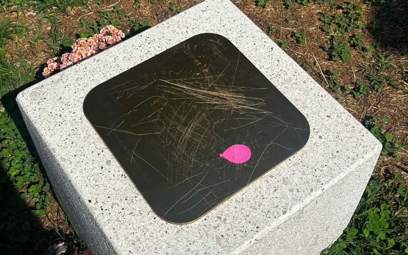 Danneggiamento targa Diana Pifferi