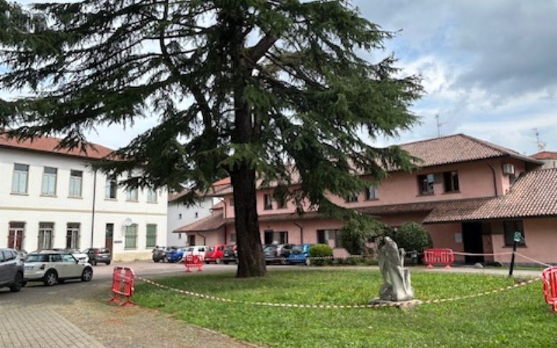 agronomo usmate maltempo alberi abbattimento