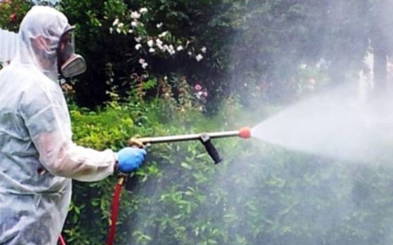 zanzare intervento disinfestazione