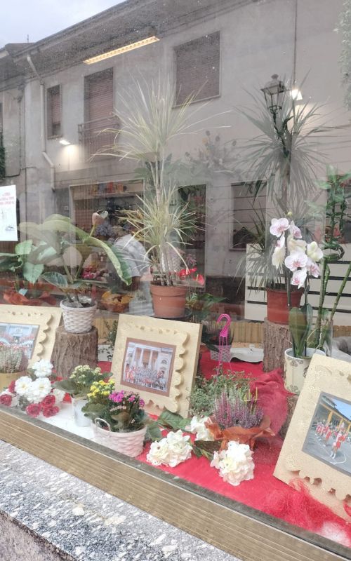 gerenzano 50 anni marjorettes