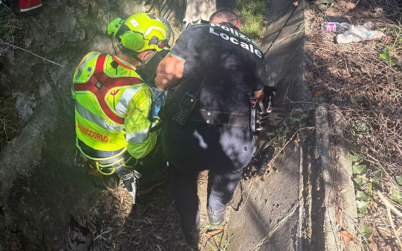 infortunio lucernate