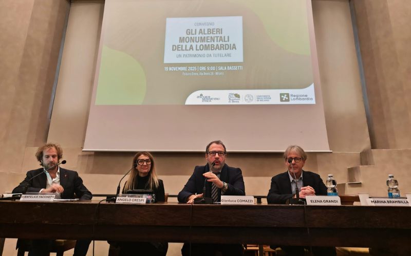 comazzio regione lombardia