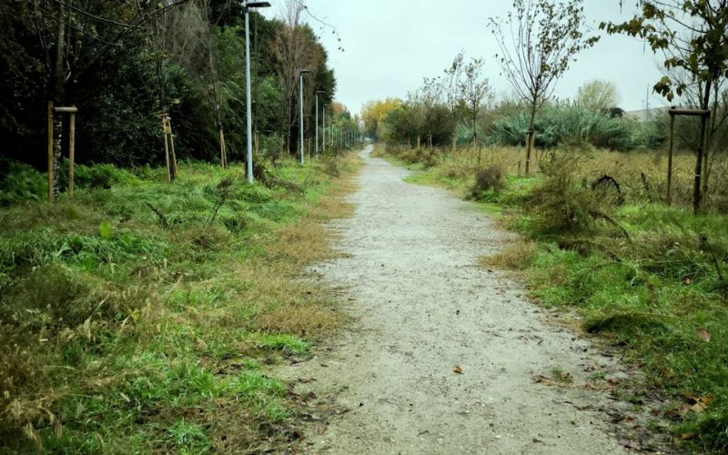 san donato campagnetta