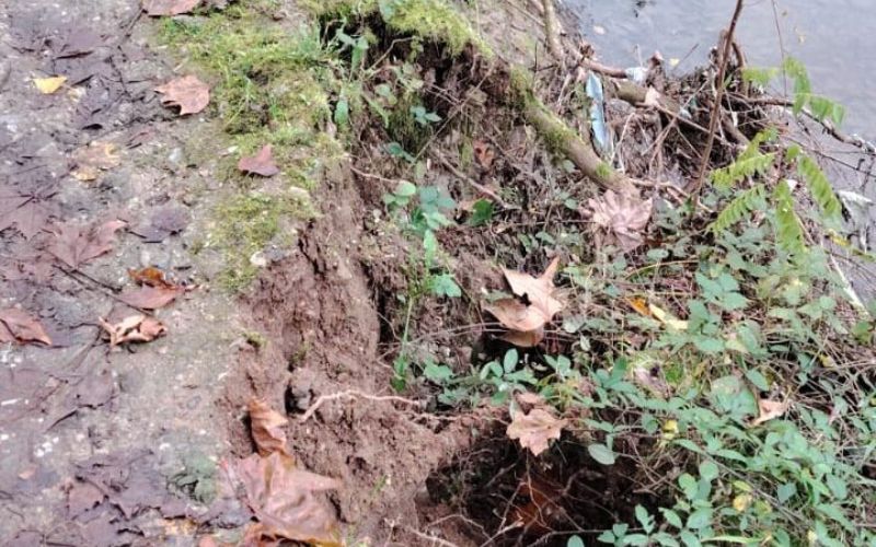 sentiero parco valle lambro