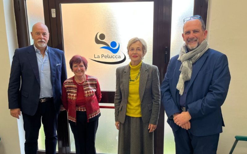 avo la pelucca sesto