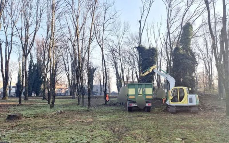 lavori bosco pantigliate