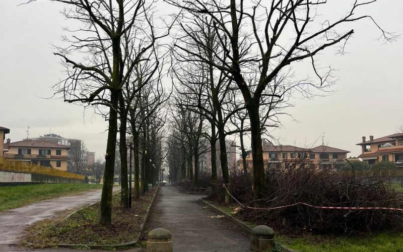 potature pantigliate