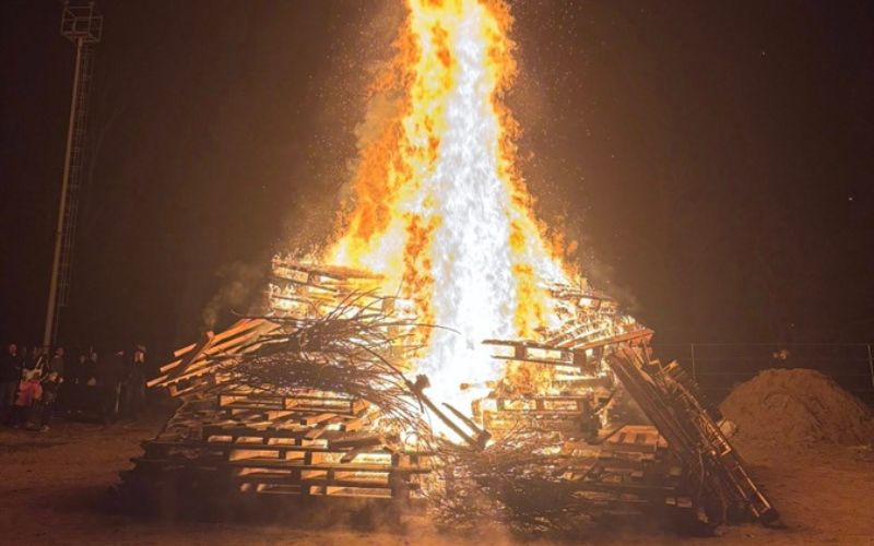 2026-01-20 cassina falo