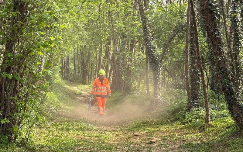 parco manutenzione cura verde pubblico