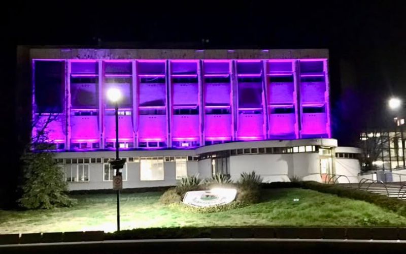 rozzano comune viola